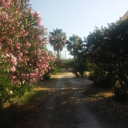 ζini 2 * 克法洛斯