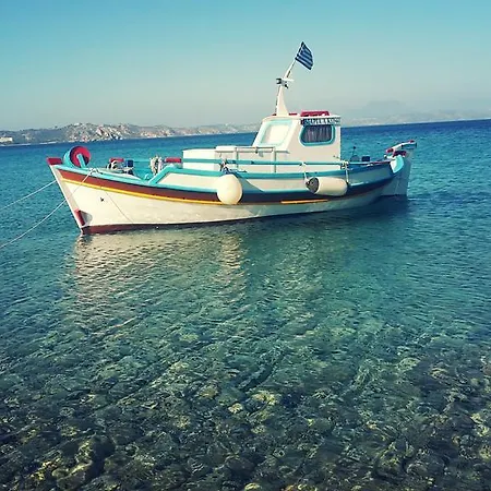 ζini 2