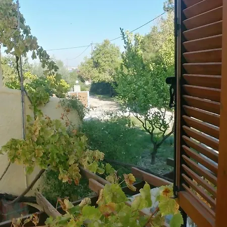 ζini 2 * קפלוס