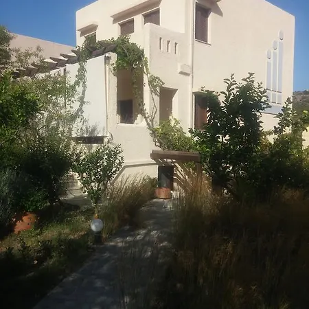 ζini 2 *