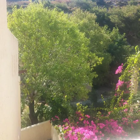 ζini 2 Kefalos (Kos)