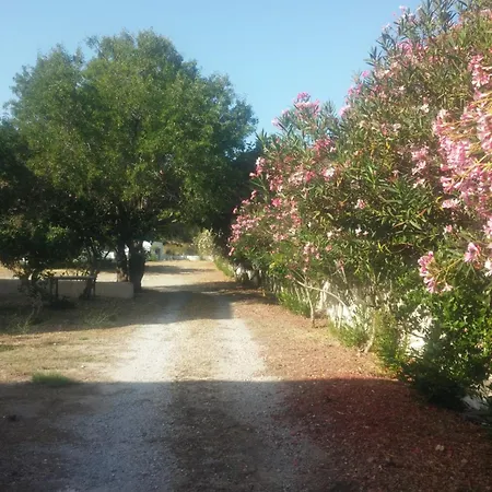 ζini 2 Holiday home