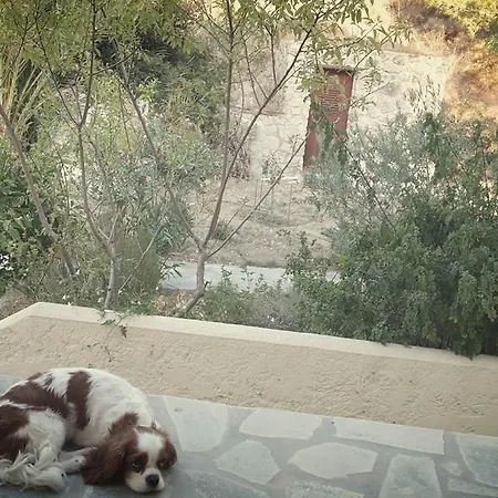 Case de vacanță ζini 2