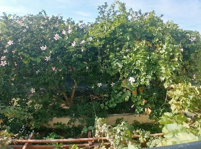 Casa de Férias ζini 2 *