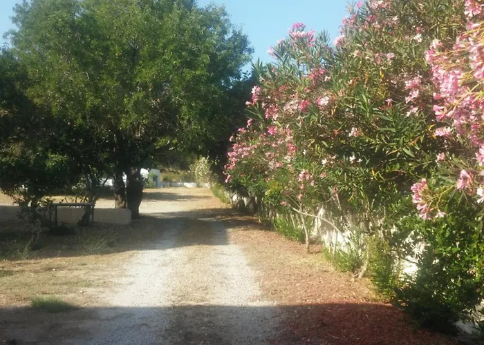 ζini 2 Casa de Férias