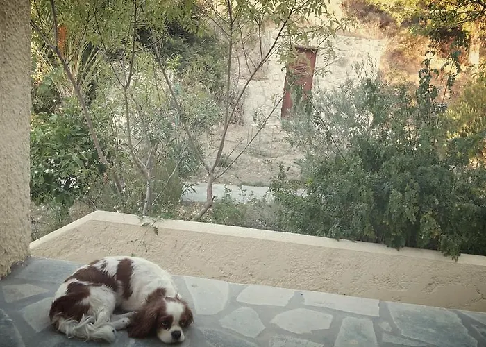 Casa de Férias ζini 2