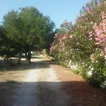 ζini 2 بيت للعطل