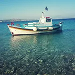 ζini 2