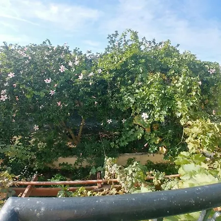 Nyaraló ζini 2 *